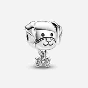 Charm Chien & Os