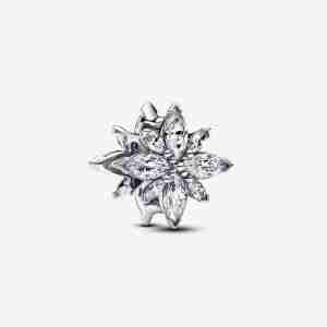 Charm Étoile Polaire Scintillante