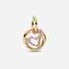 Charm Pendant Signe du Capricorne