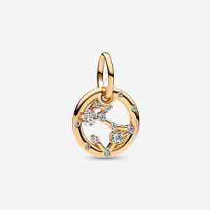 Charm Pendant Signe du Poissons