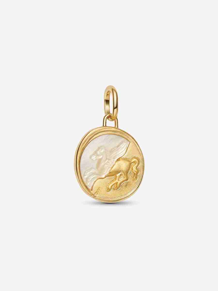 Charm Médaillon Lion Charm Medaillon Lion 1