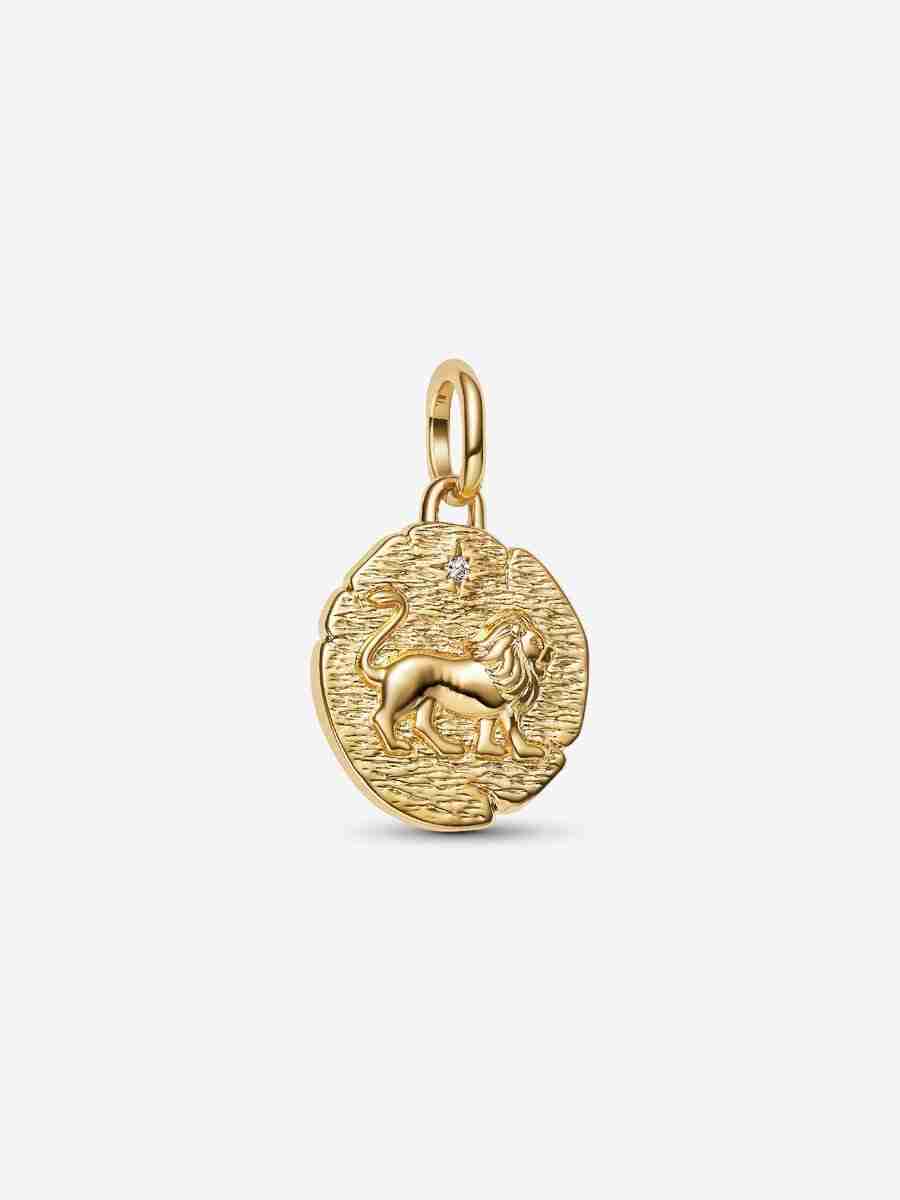 Charm Médaillon Lion Charm Medaillon Lion